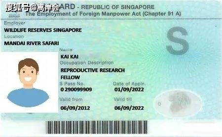 请攻略 —— 新加坡各类准证开元棋牌网站2025最新申(图1)