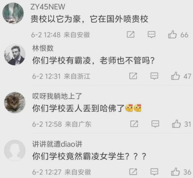 自己的愚蠢拯救了黄杨钿甜开元棋牌哈佛的蒋雨融用(图4)