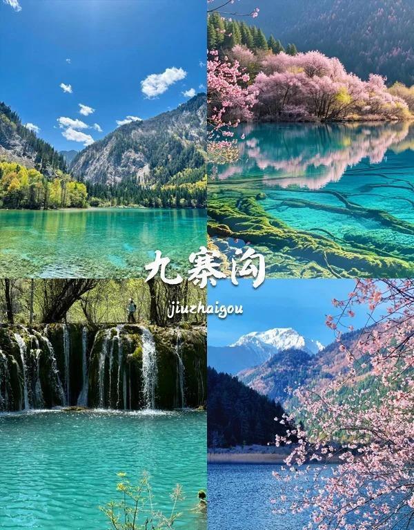 庭定制的5日行程省心程度超乎想象开元棋牌四川深度游攻略！专为家(图4)