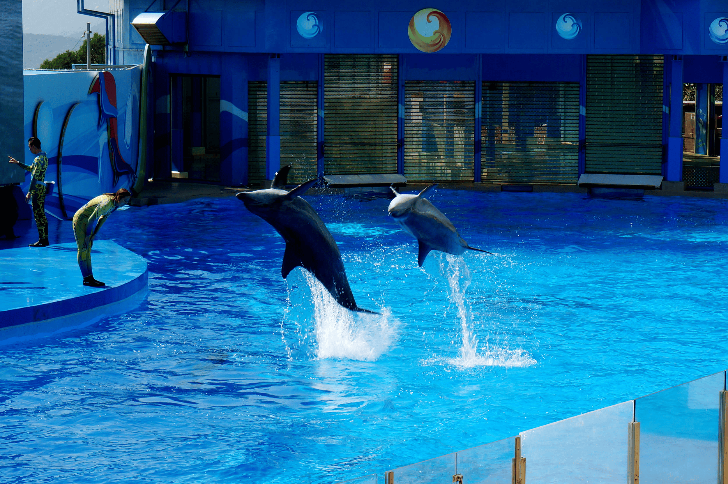 必去景点+核心路线+行李清单全指南开元棋牌港澳旅游四日游私人定制游｜(图2)