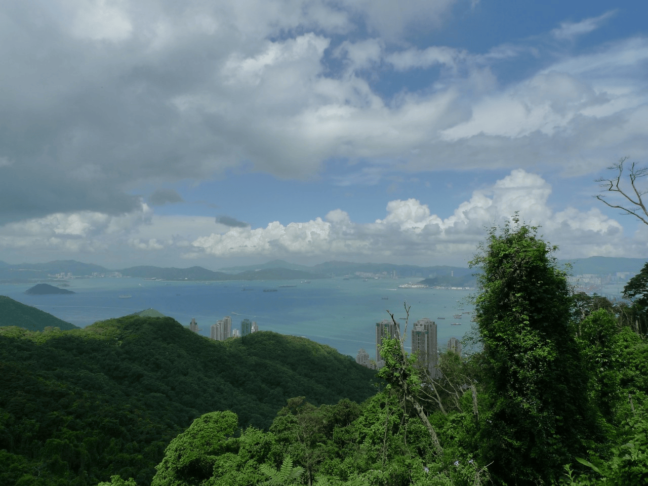 必去景点+核心路线+行李清单全指南开元棋牌港澳旅游四日游私人定制游｜(图3)